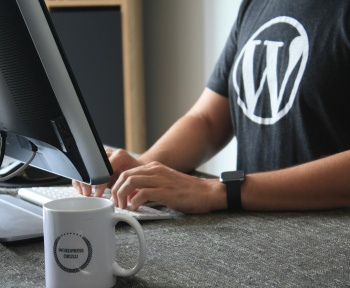 Wordpress website te laten maken