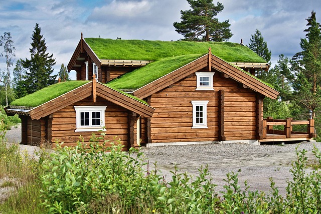 groene daken